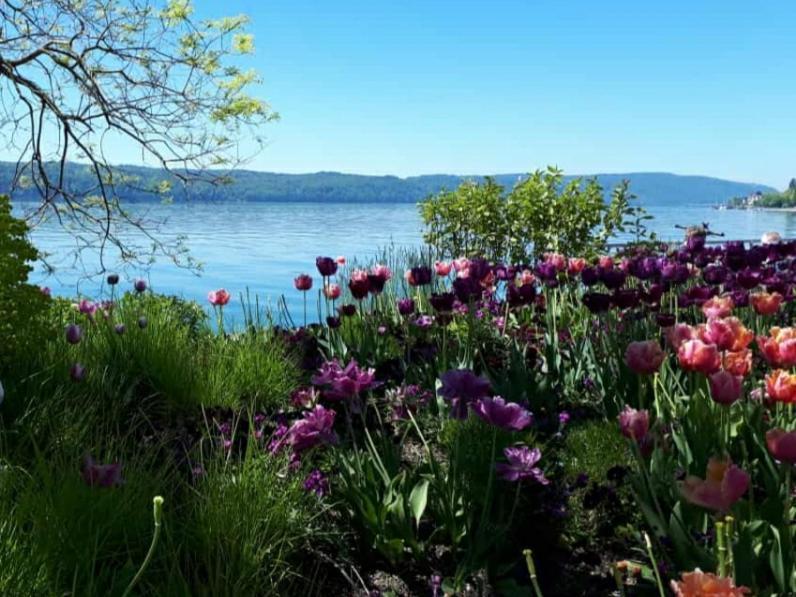 Lakeview Penthouse Meersburg Exterior foto