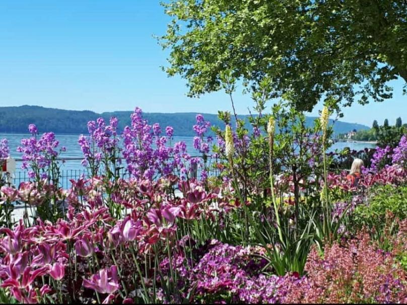 Lakeview Penthouse Meersburg Exterior foto